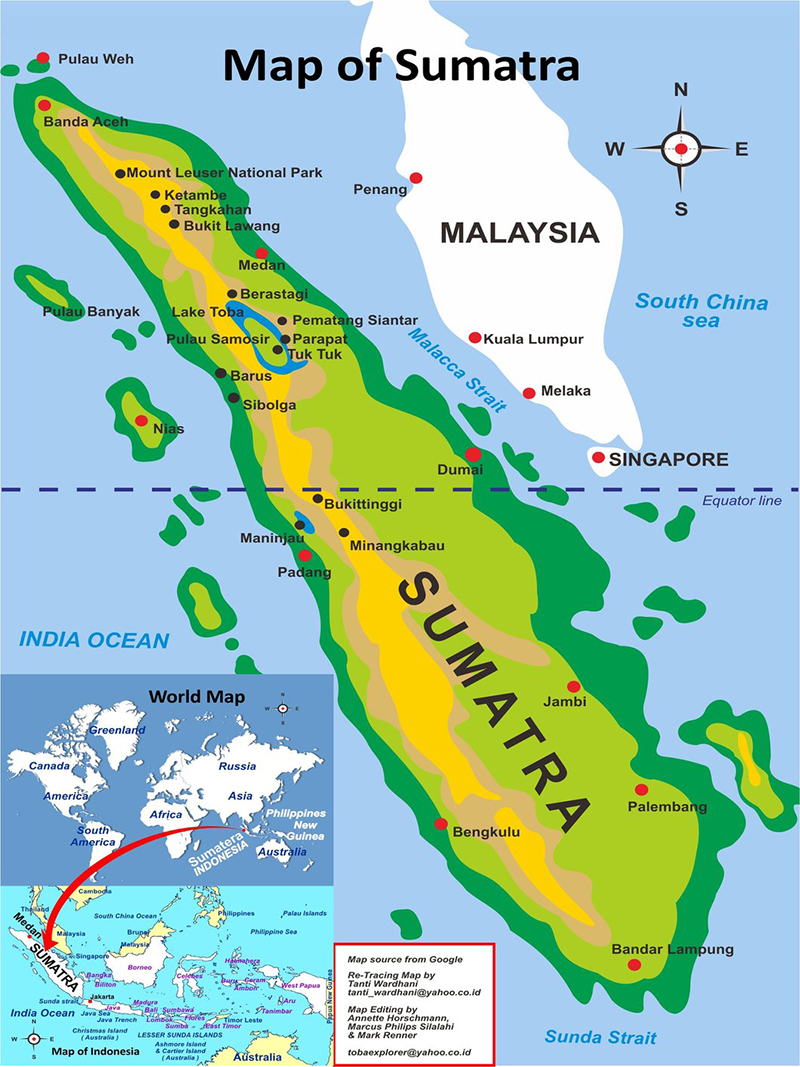 sumatranski nosorog 4