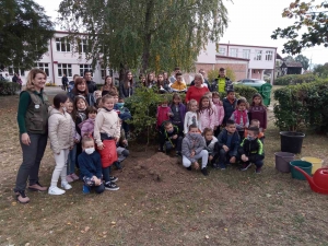 UČENICI IZ SREMSKE MITROVICE SADILI HRAST LUŽNЈAK U DVORIŠTIMA SVOJIH ŠKOLA