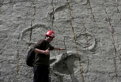 PRONAĐEN NAJVEĆI OTISAK STOPOLA DINOSAURUSA U BOLIVIJI