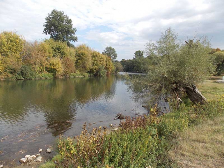 OŠ ,,VUK KARADŽIĆ“, KRALJEVO - IBAR I RIBNICA, MOJ ZAVIČAJ